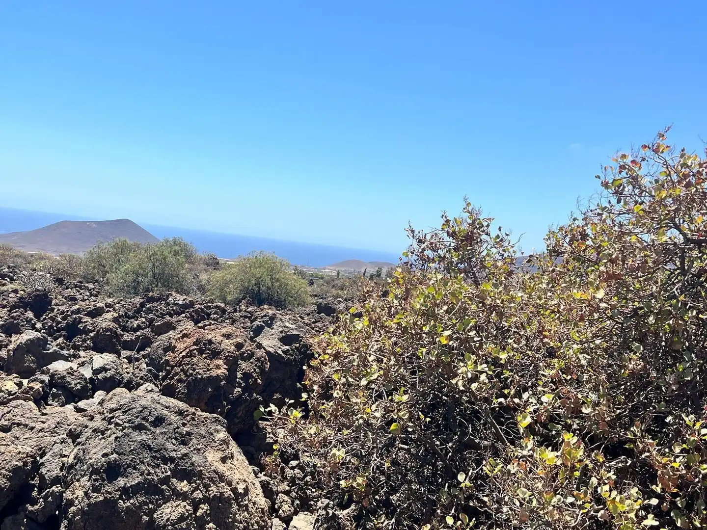Rural land for sale in Arafo, imagen 13