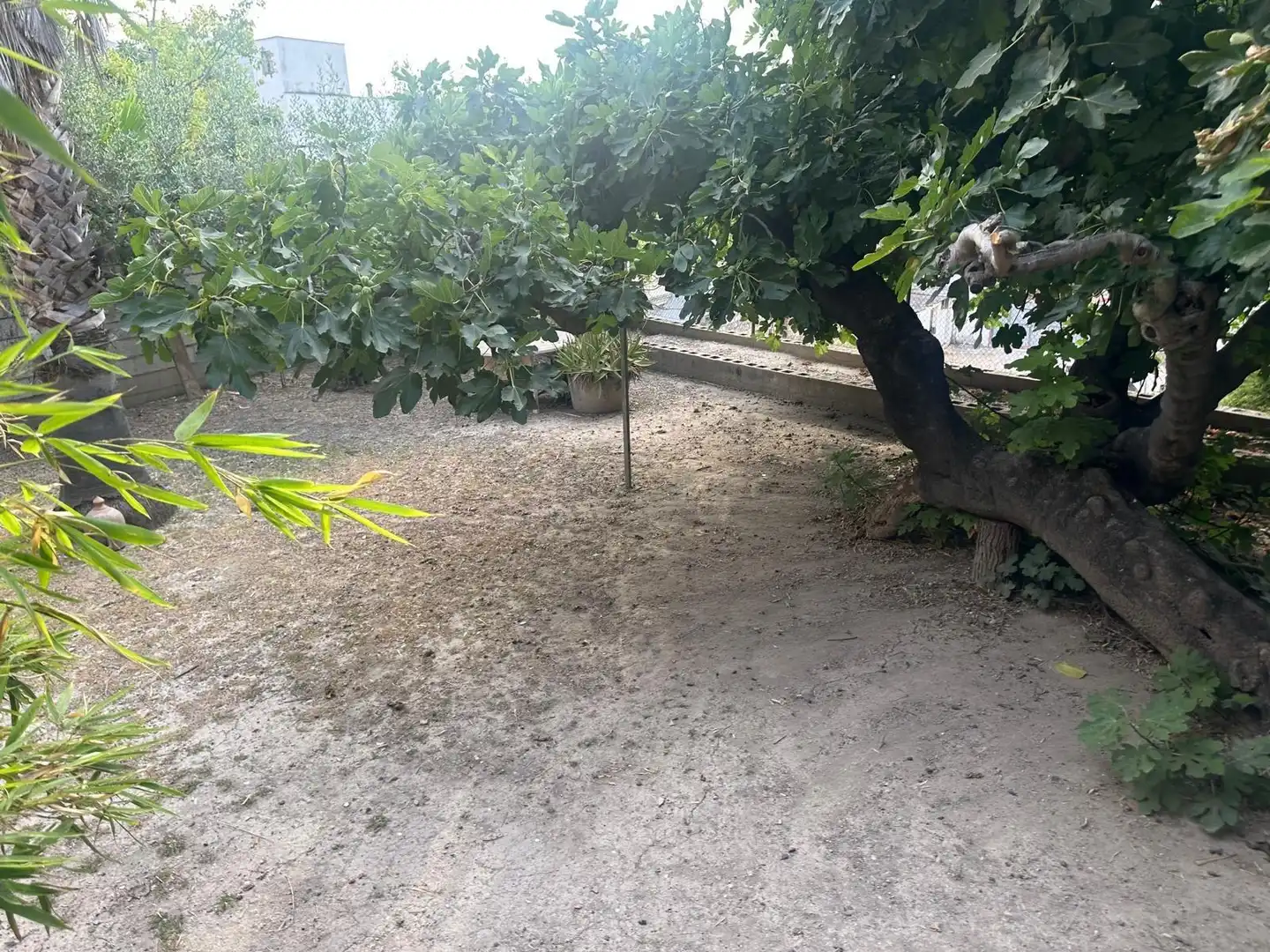 Casa o xalet en venda en Pego