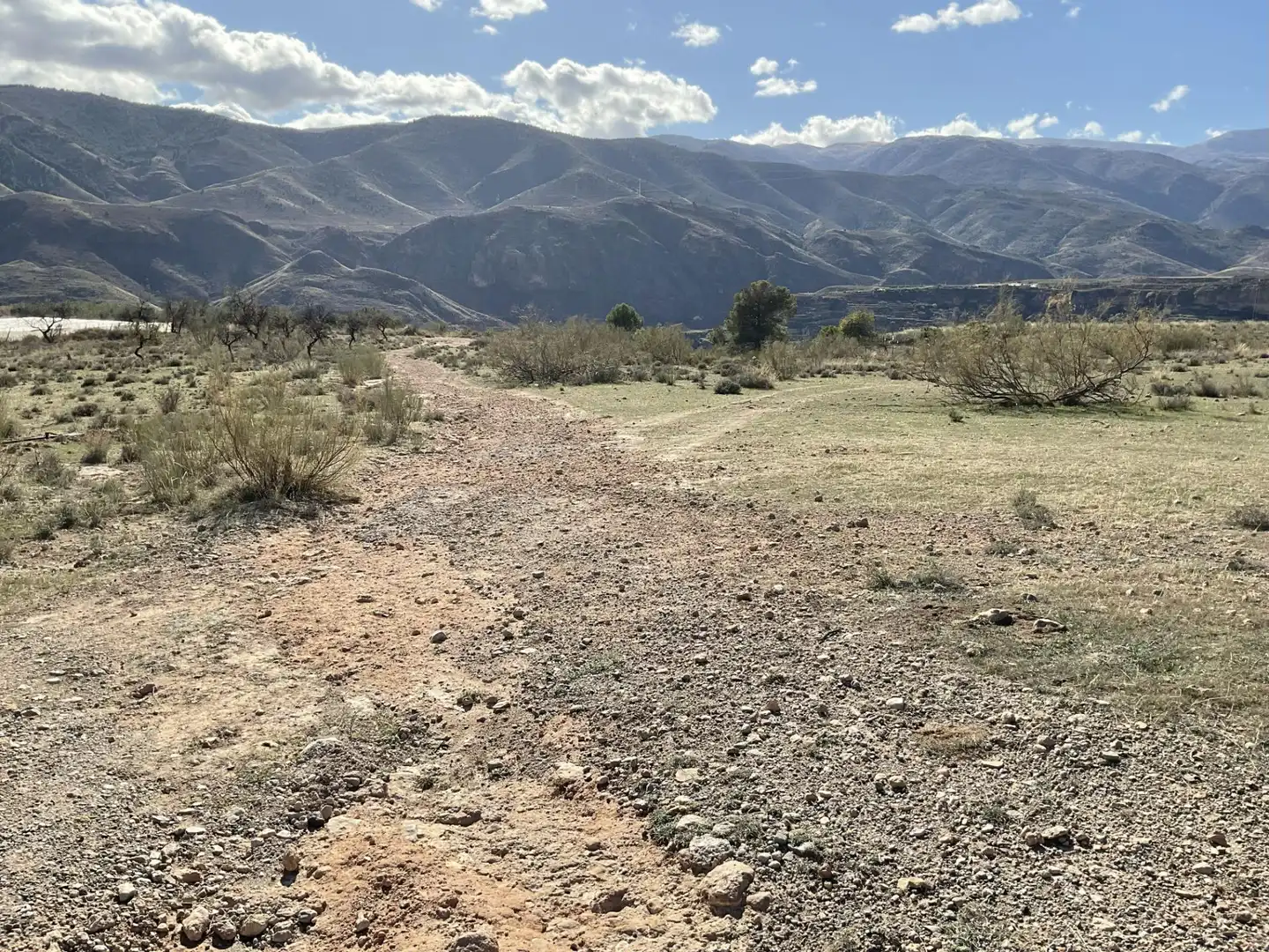 Land for sale in Padules