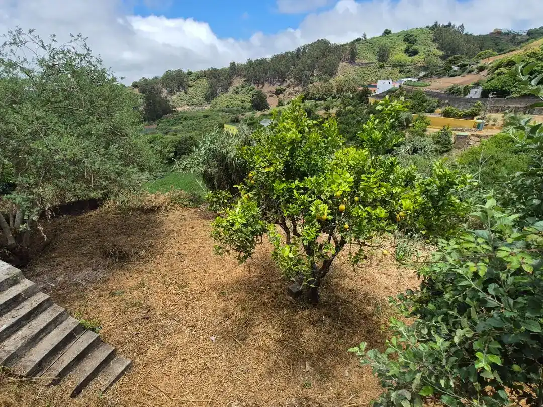 Planta baixa en venda en Moya (Las Palmas) amb Jardí privat, Parquet i Traster