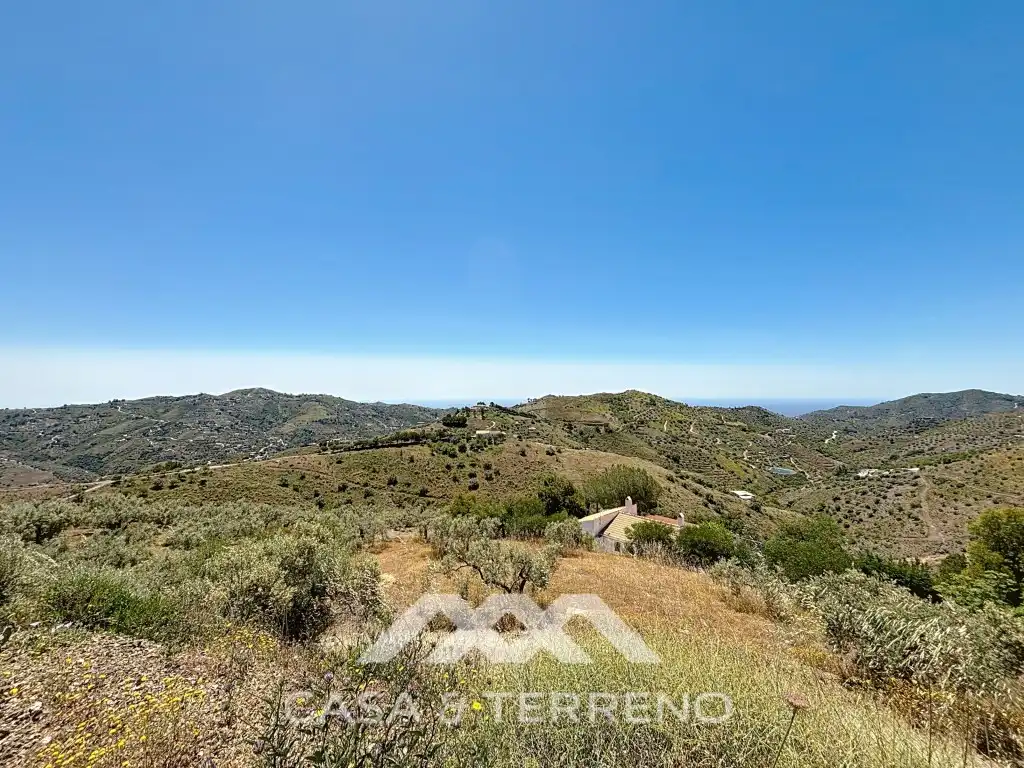 Land for sale in Canillas de Albaida