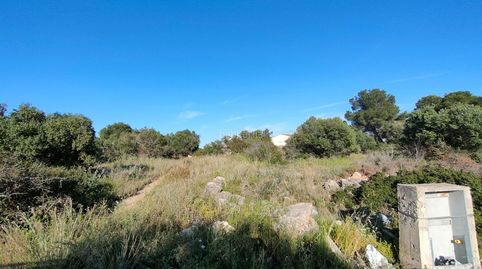 Terreno llano urbano, immagine 3