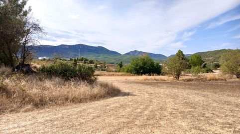 Valderrobres-Finca cerca del pueblo con vistas, immagine 5
