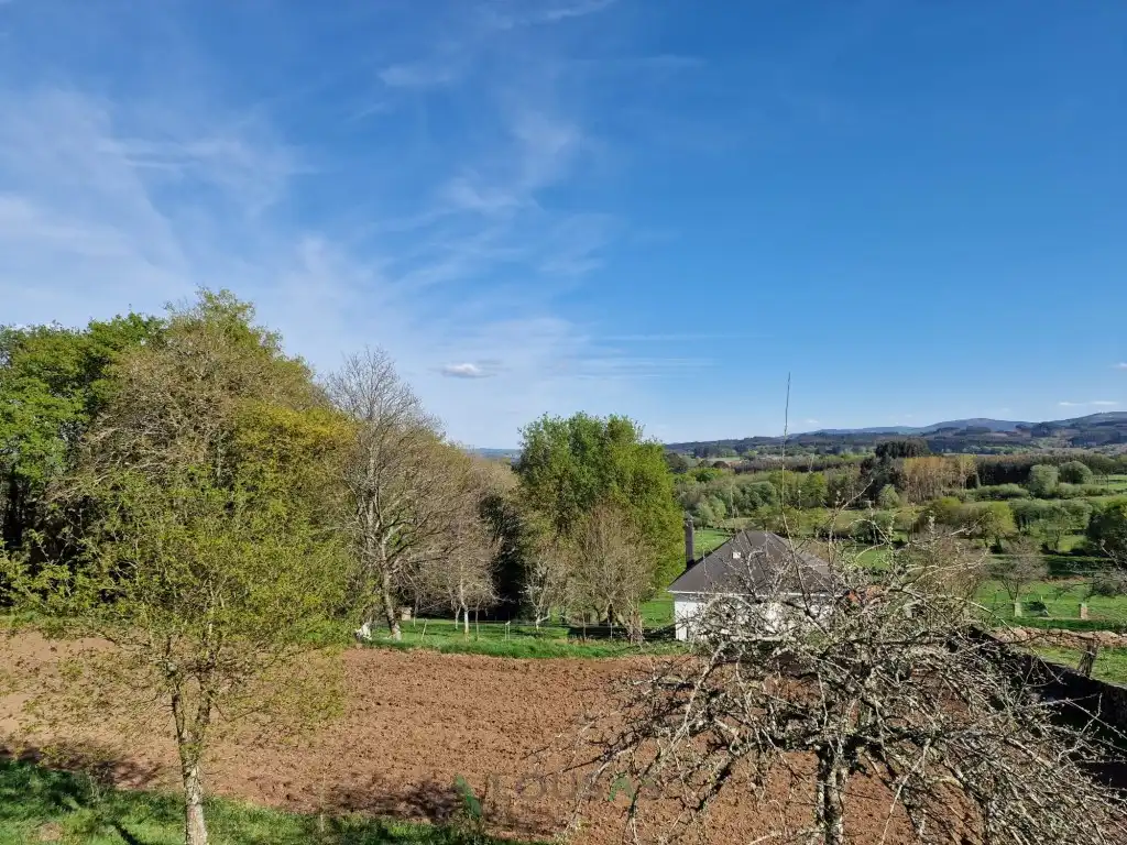 Casa o chalet en venta en Antas de Ulla
