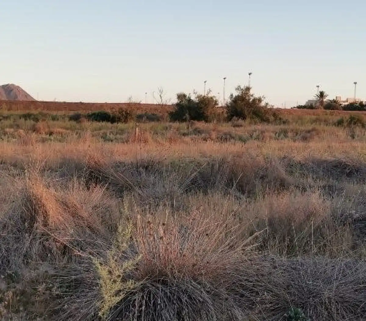 Terreno rustico in vendita a Camino LOS HUERTOS, imagen 46