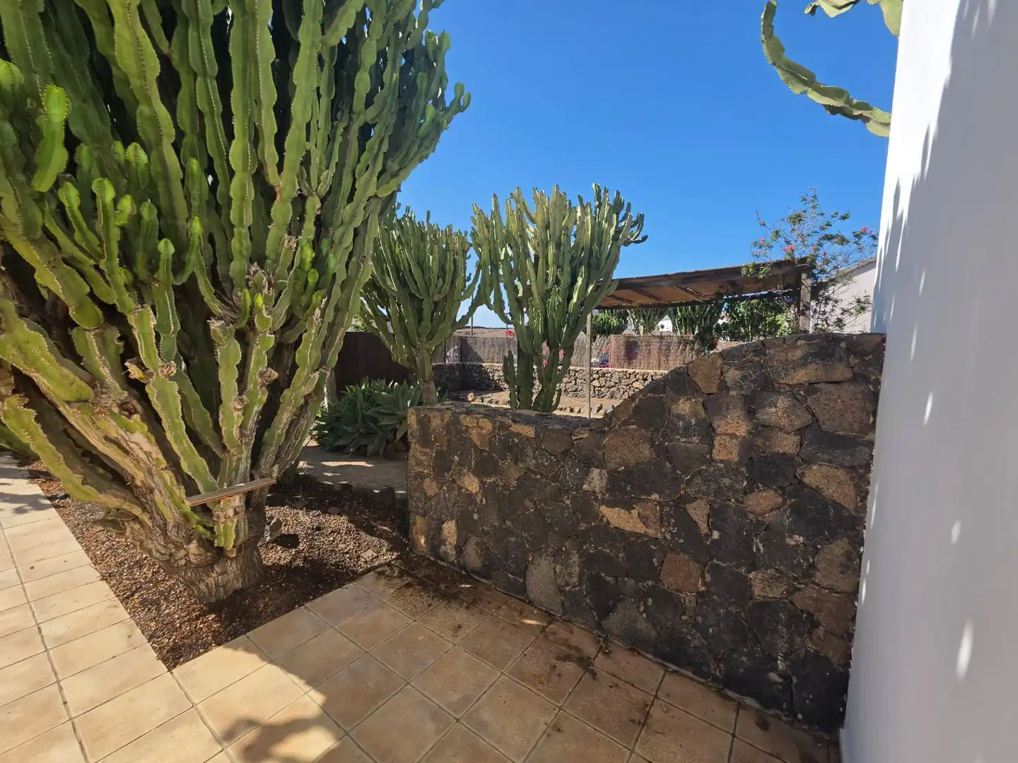 Jardí de Casa o xalet en venda en La Oliva pueblo