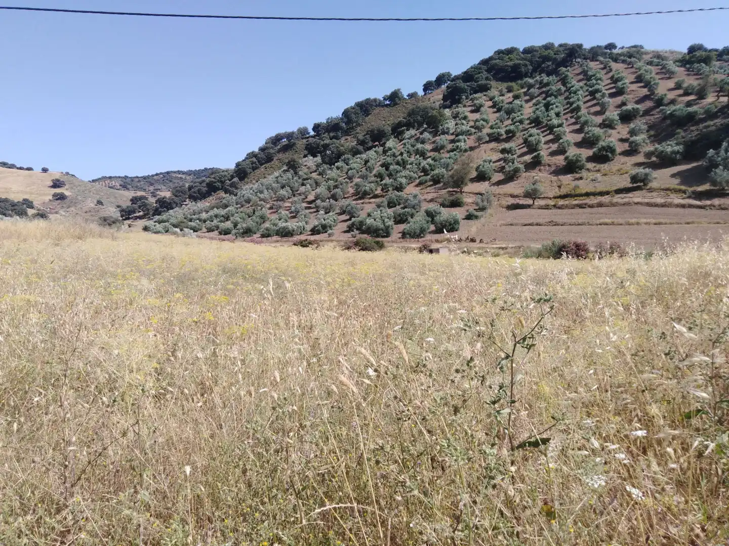 Finca rústica en venda en Ronda