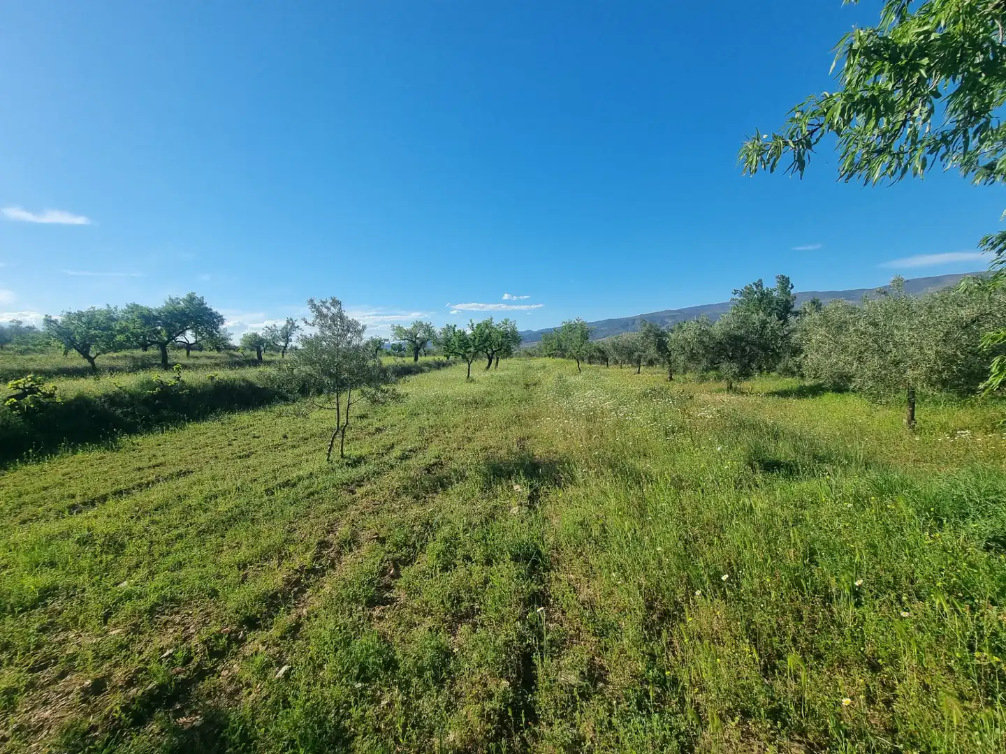 Terreno en venta en Abrucena
