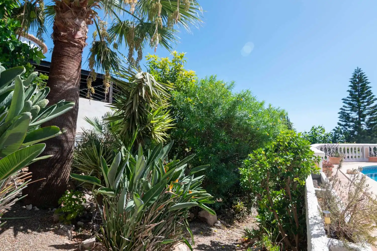 Detached house with pool for sale in Centro, imagen 37