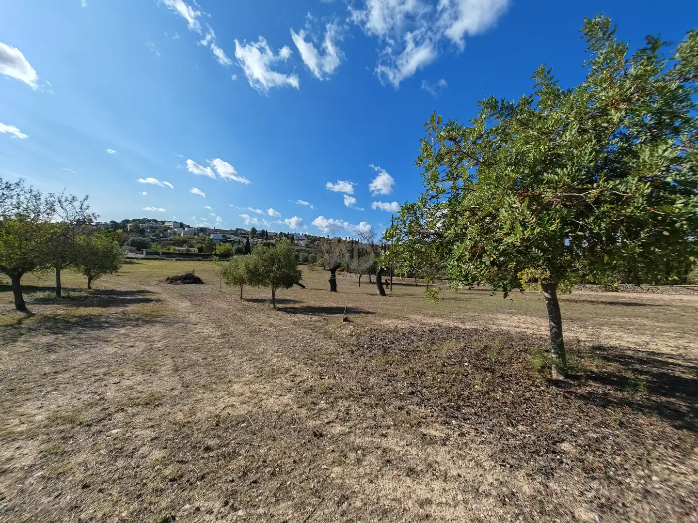 Houses for sale in  Palma de Mallorca