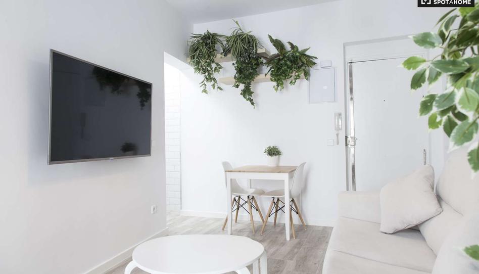 Photo 1 of Apartment to share in Universidad - Malasaña, Madrid