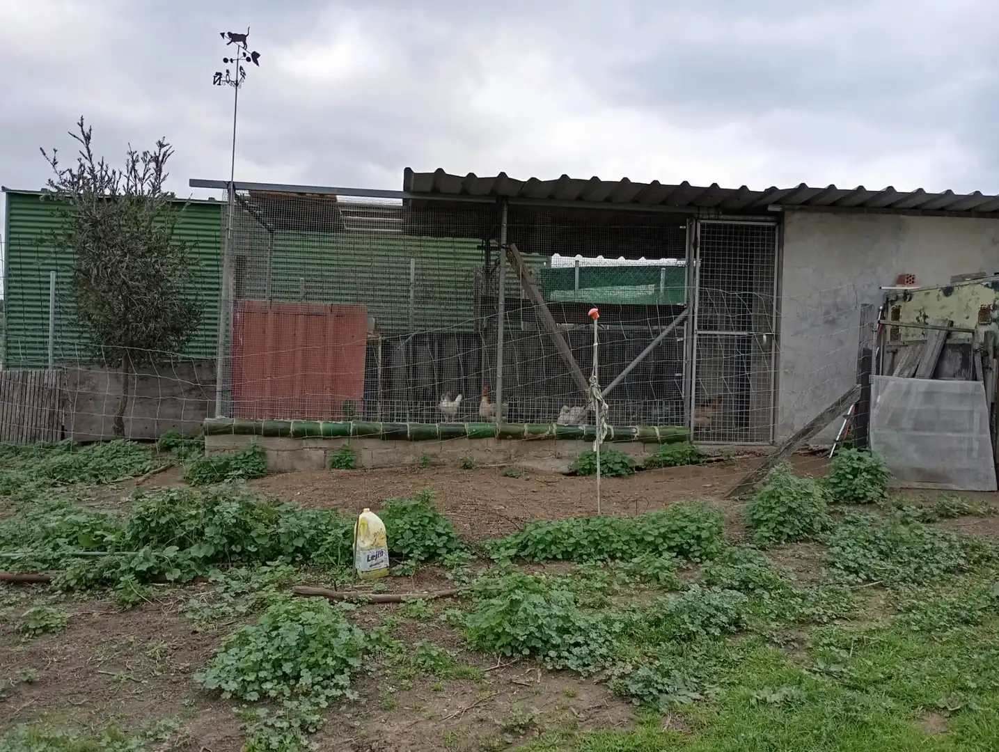 Jardí de Finca rústica en venda en Los Barrios amb Jardí privat i Moblat