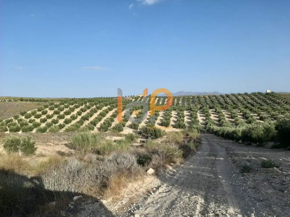 Maison à vendre à Sorbas, imagen 7