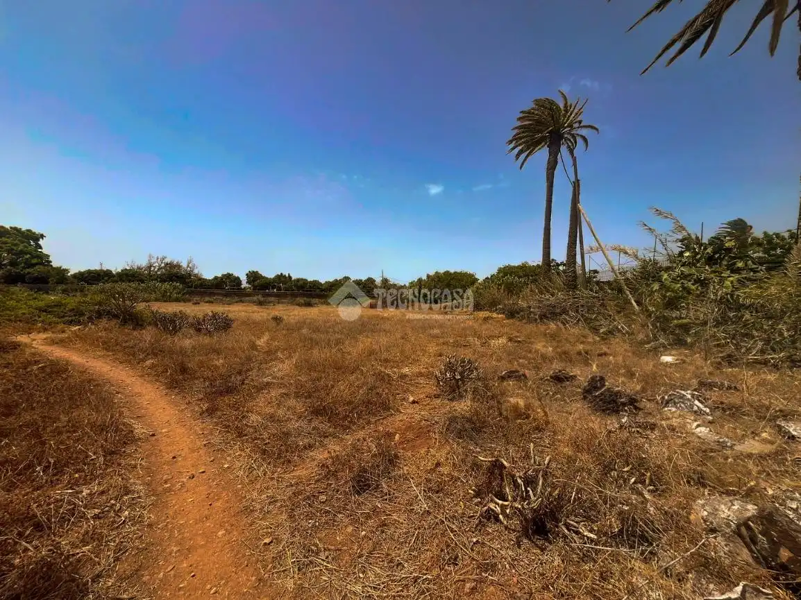 Rural land for sale in Ingenio pueblo, imagen 12