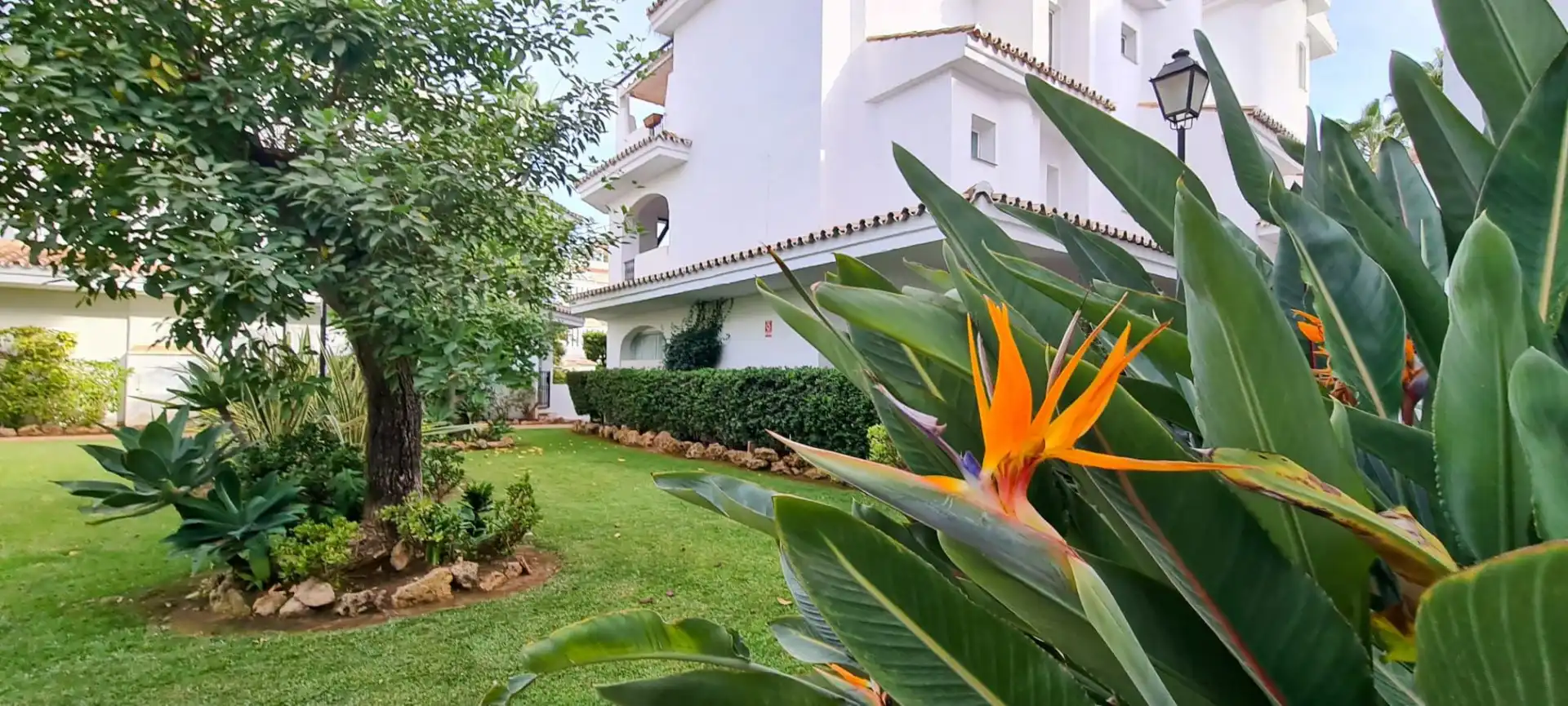 Apartments for rent in ALMOGIA-NARANJOS MARBELLA, 3, La Dama de Noche - La Alzambra