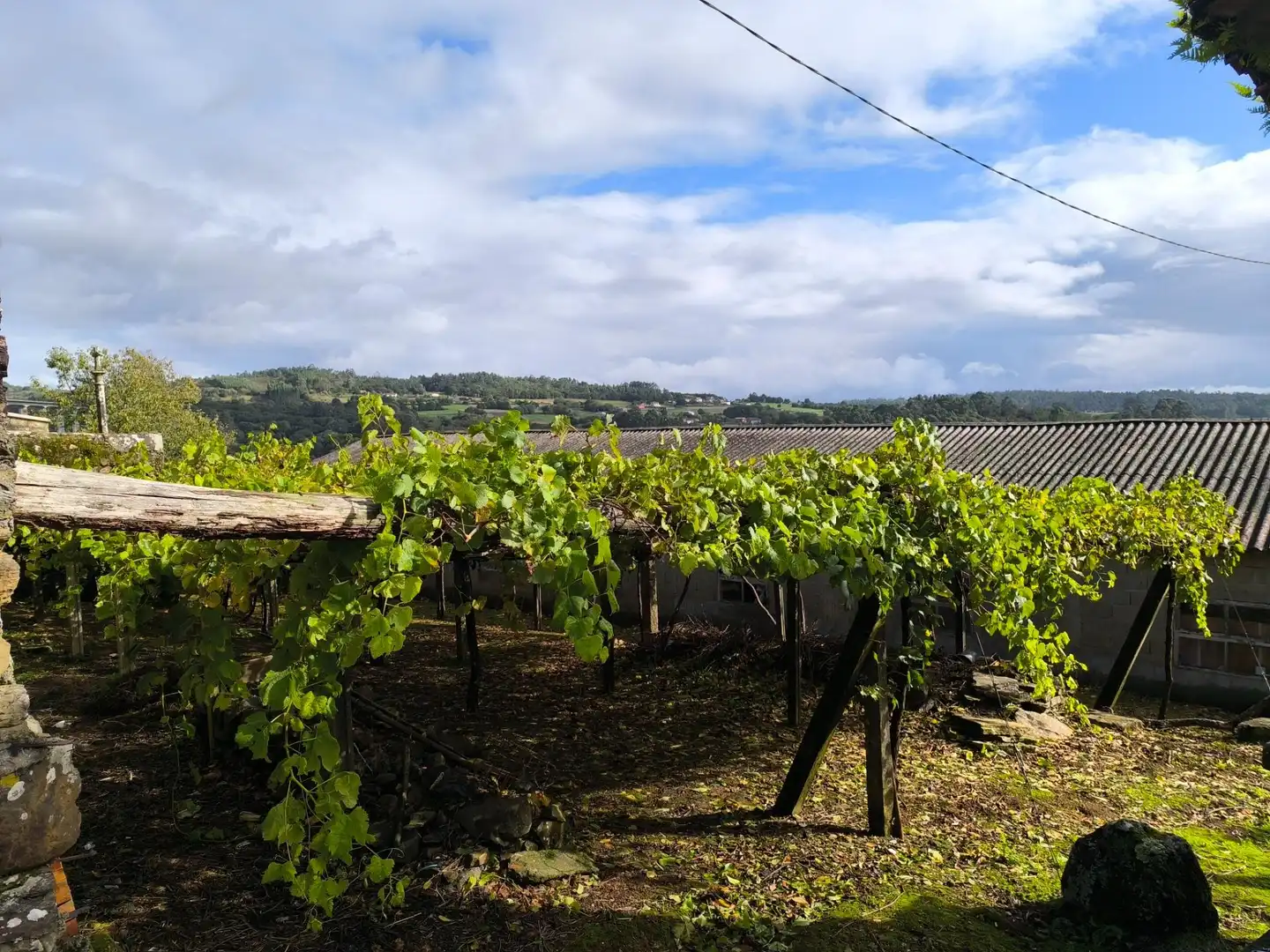 Vista exterior de Casa o chalet en venta en Santiago de Compostela  con Jardín privado