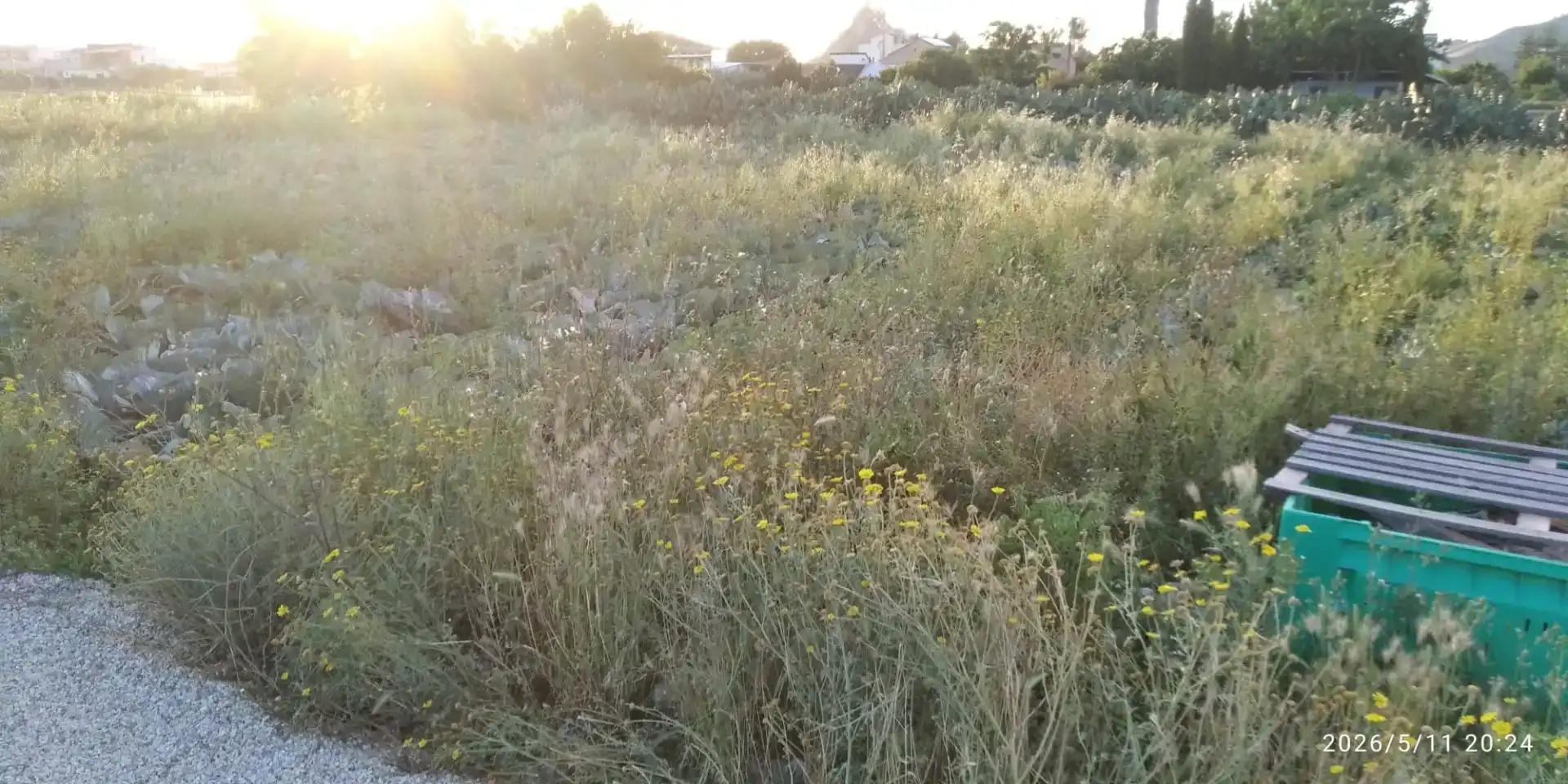 Grundstücke zum Verkauf in Murcia
