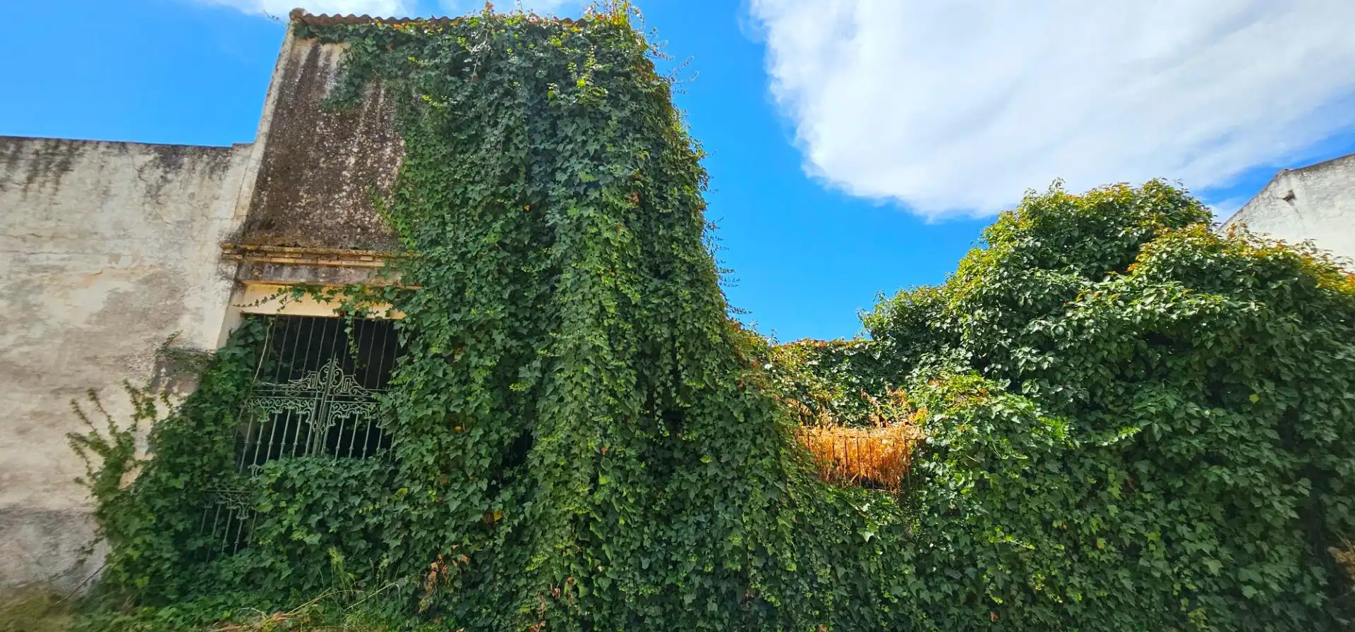 Jardín de Casa adosada en venta en La Algaba