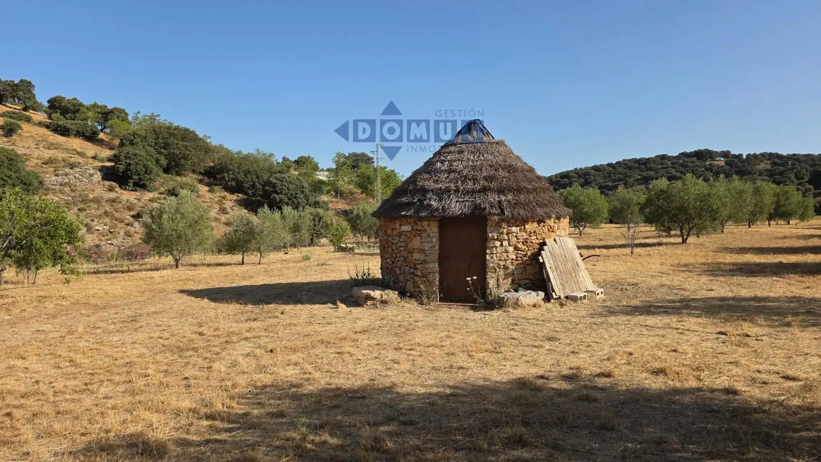Terreno en venta en Camino Cartajima, carretera de san pedro, Partidas Sur