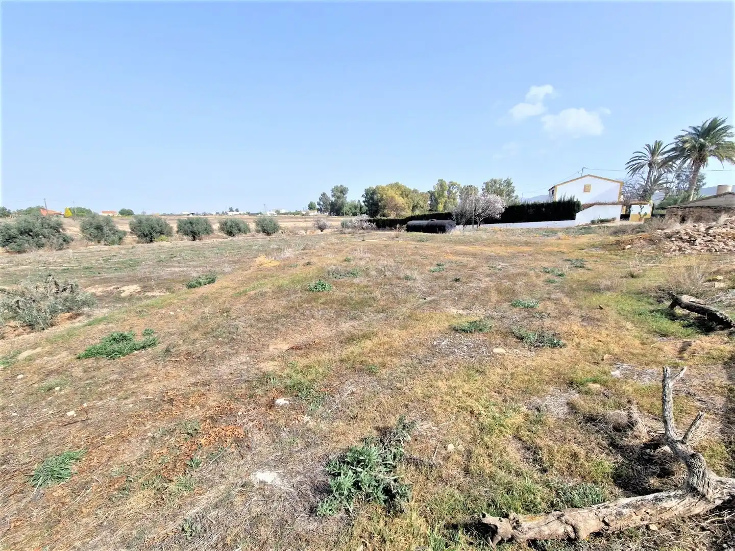 Terreno residenziale in vendita a Pedanías Sur, imagen 4