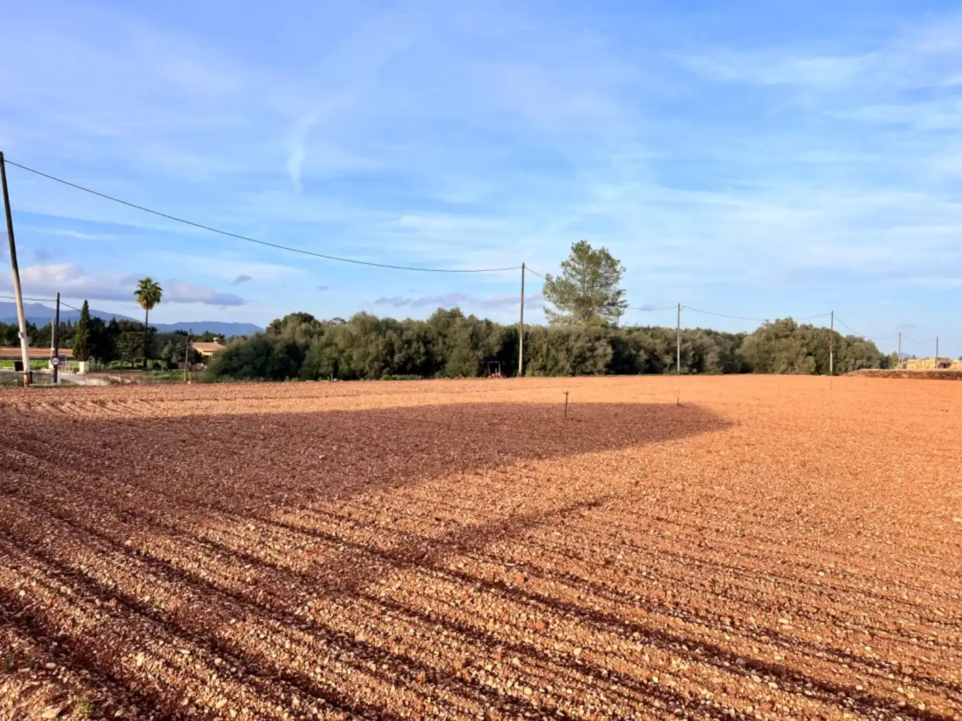 Casa rústica en venta en Llubí, imagen 10