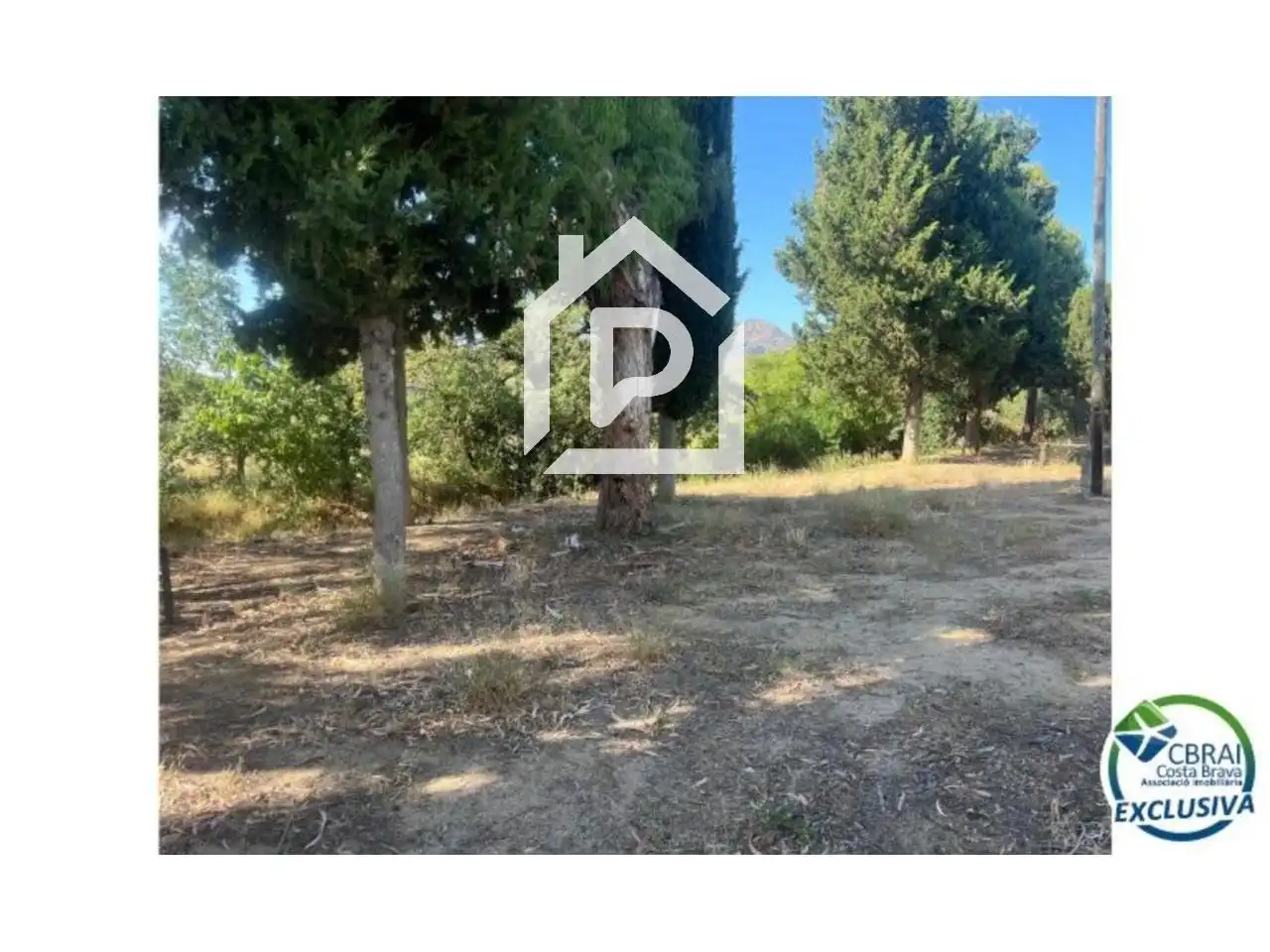 Maison à vendre à Argentera, imagen 11