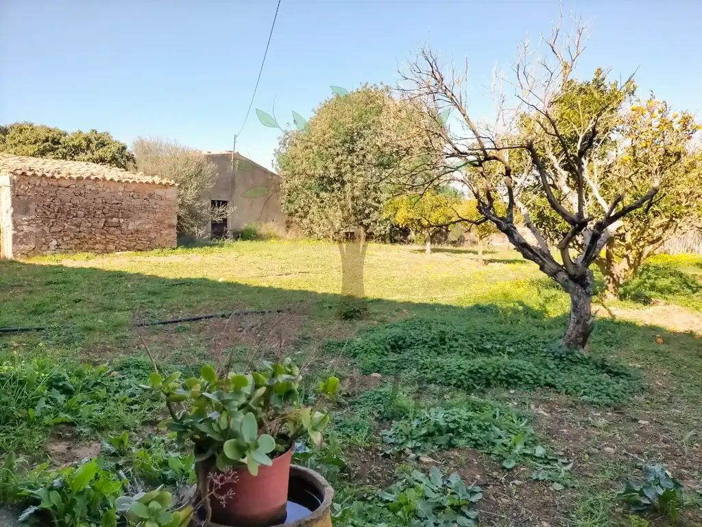 Casa o chalet en venta en Felanitx