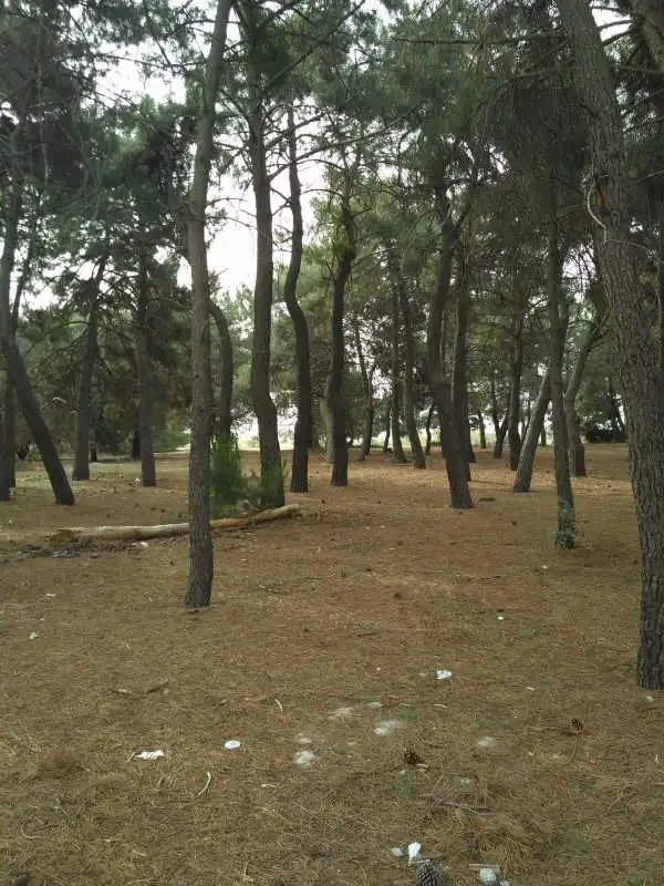 Terreno residencial en venta en Revuelta