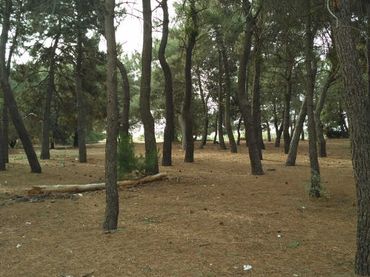 Residential land for sale in Revuelta