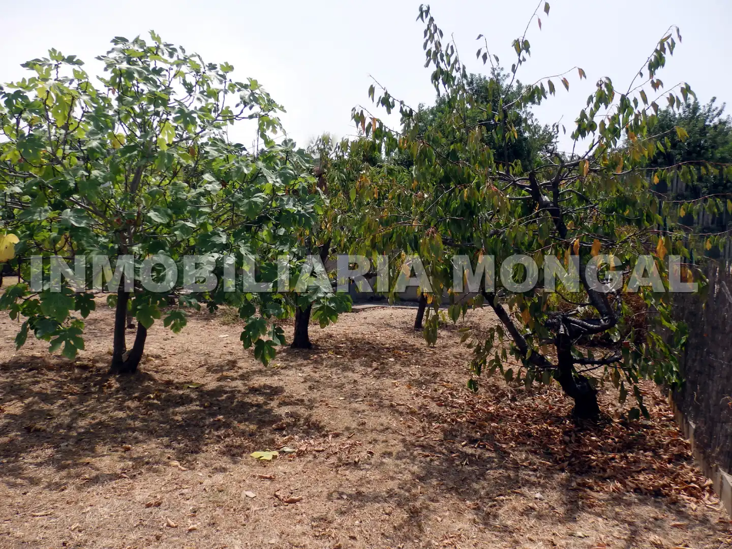 Terreny residencial en venda a Carrer de Can Paulet, imagen 10