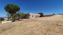 Finca rústica en venda a La Torre de Esteban Hambrán, imagen 1