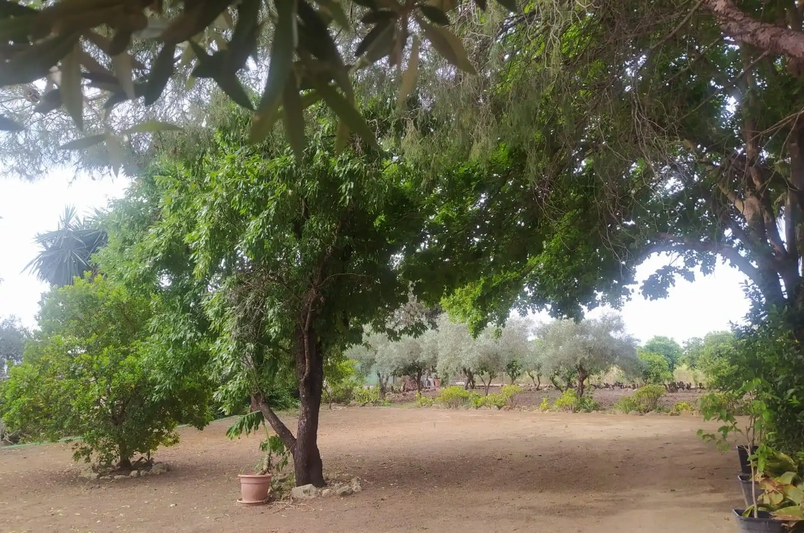 Terreni e lotti in vendita a Villamartín, imagen 13