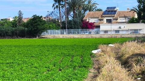 Foto 3 de Finca rústica en venda a Puente Tocinos, Murcia Capital