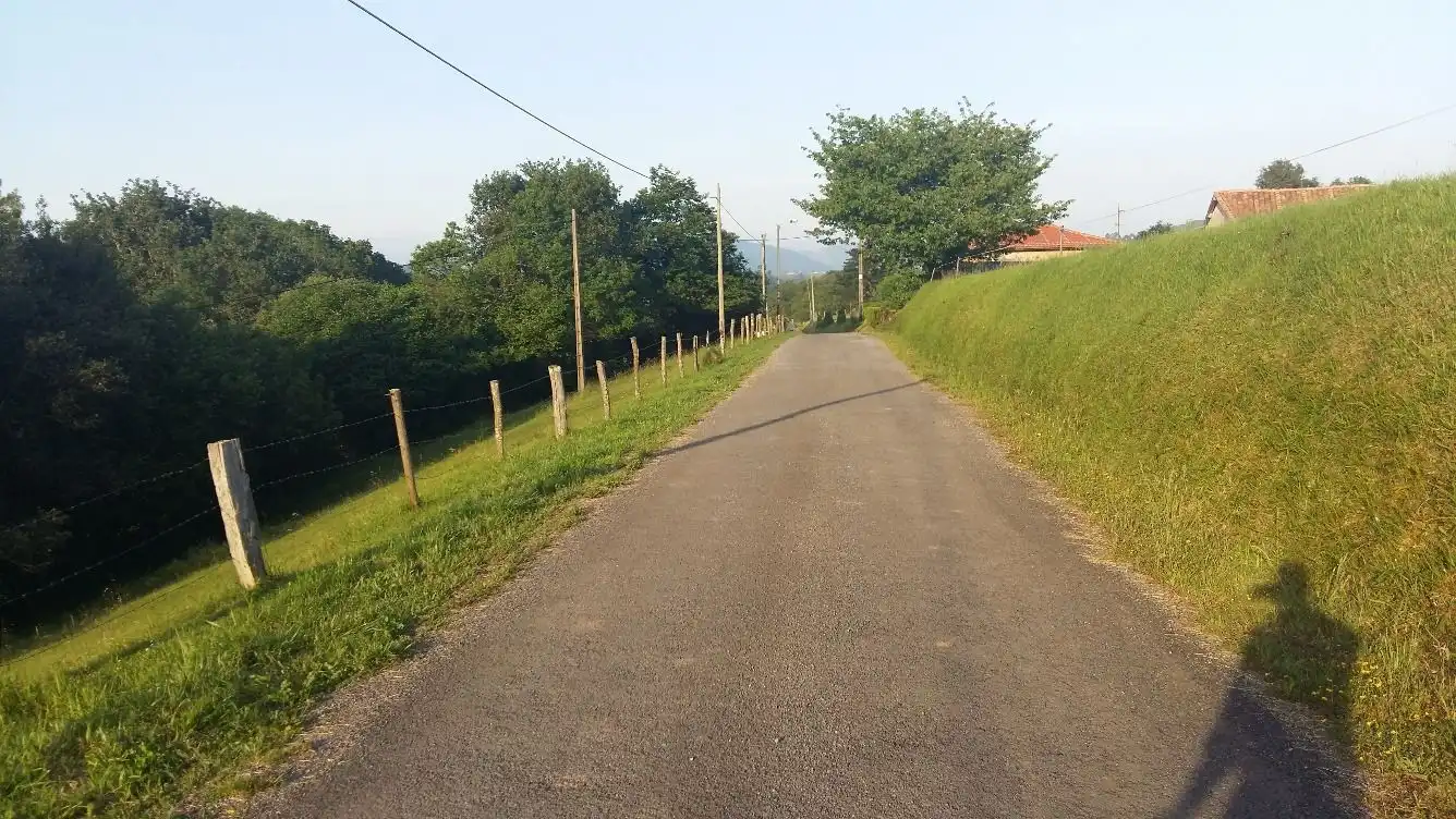 Terrenos y solares en venta en Piloña, imagen 6