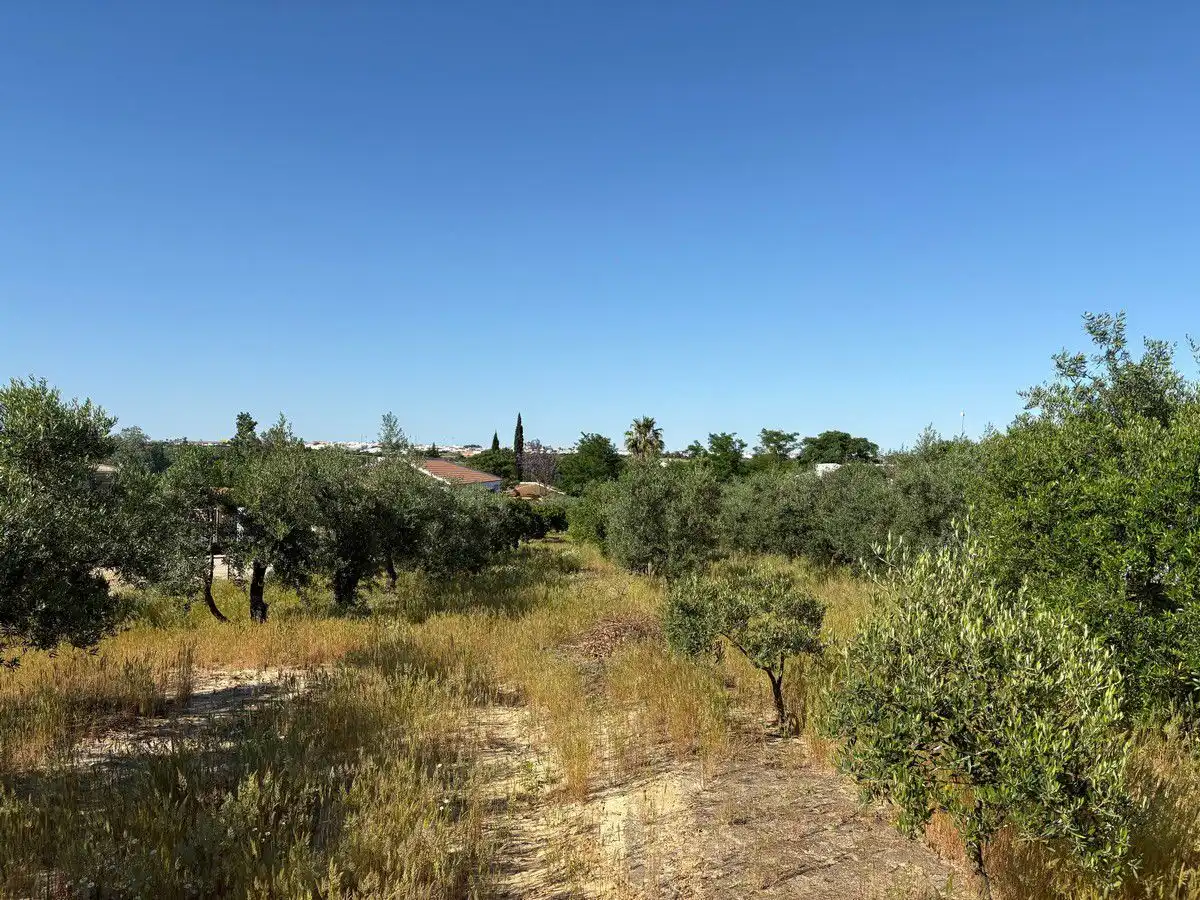 Terreni e lotti in vendita a Bollullos Par del Condado, imagen 9