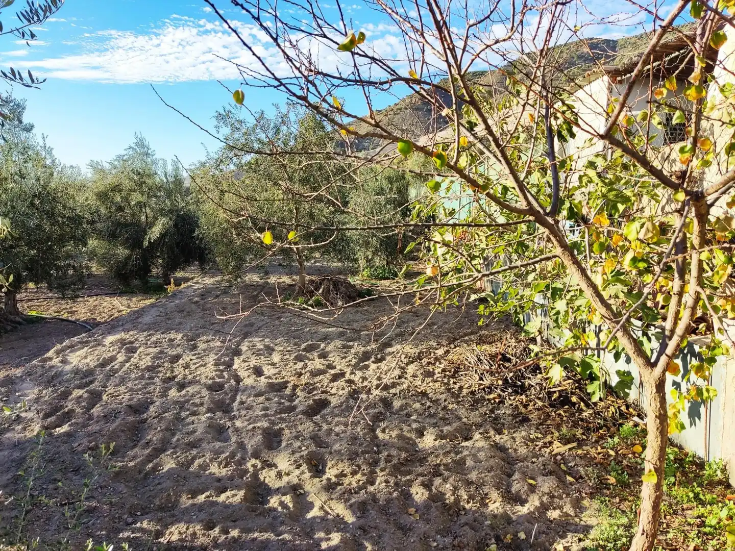 Terreni e lotti in vendita a Padul, imagen 32