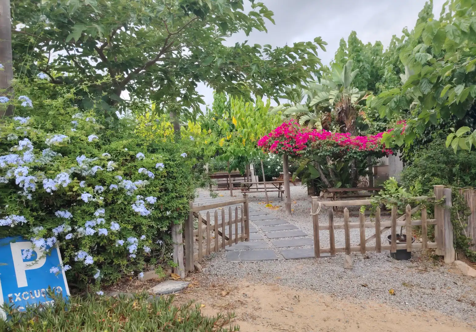 Jardín de Terreno en venta en Mataró