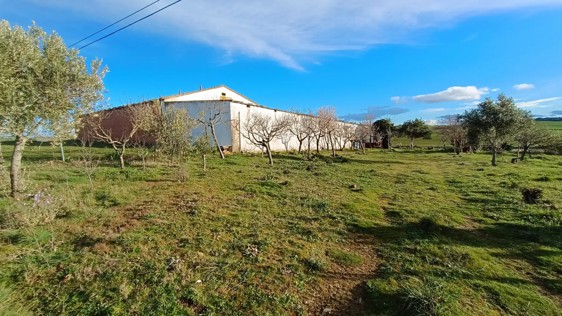 Rural land for sale in Paseo Rosales, imagen 25
