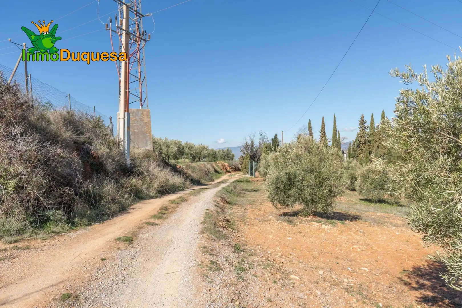 Casa rústica en venda a Cogollos de la Vega, imagen 13