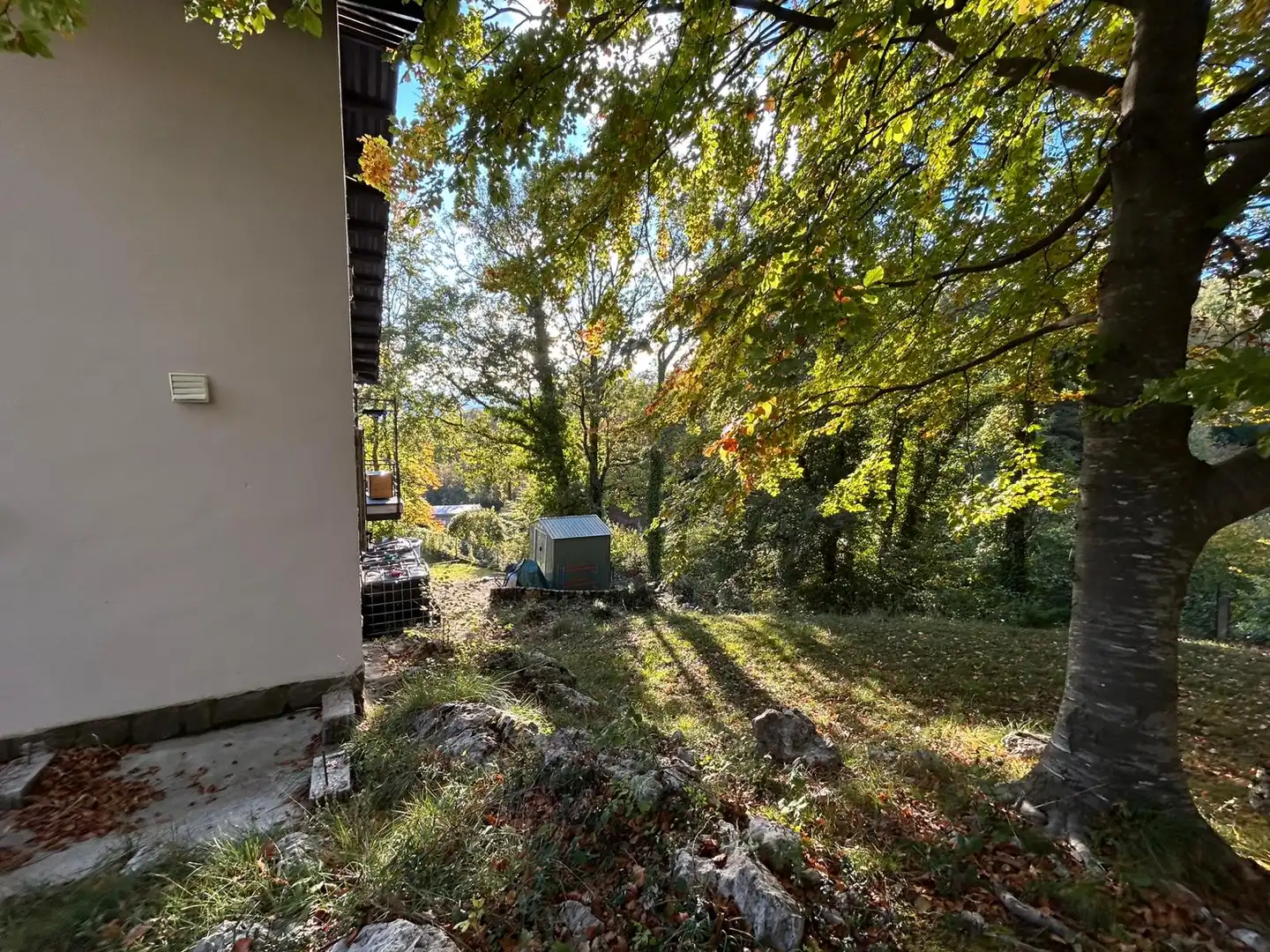 Jardí de Casa o xalet en venda en Camprodon amb Jardí privat, Terrassa i Moblat