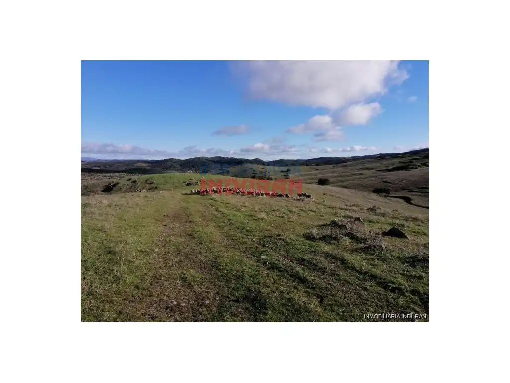 Casa o chalet en venta en Montemolín