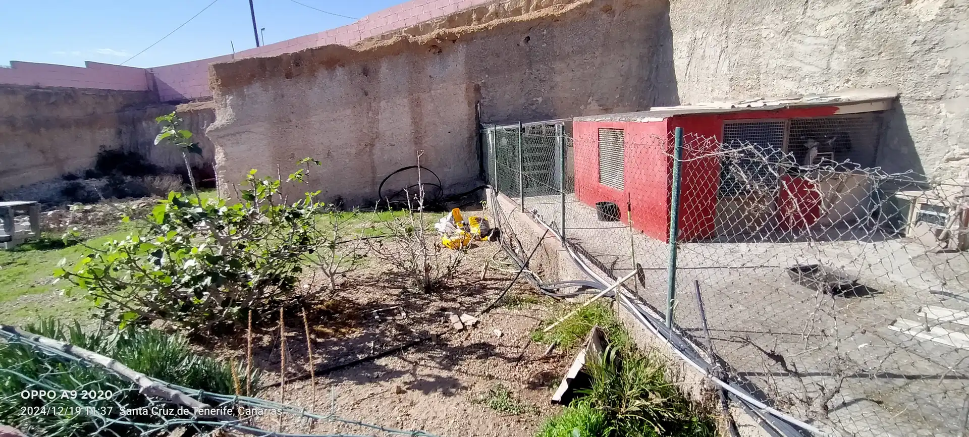 Vista exterior de Finca rústica en venda en Güímar amb Calefacció, Jardí privat i Terrassa