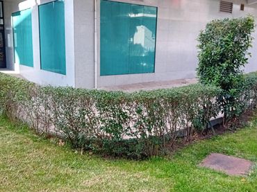 Local comercial en venda a Calle de Zaida 26