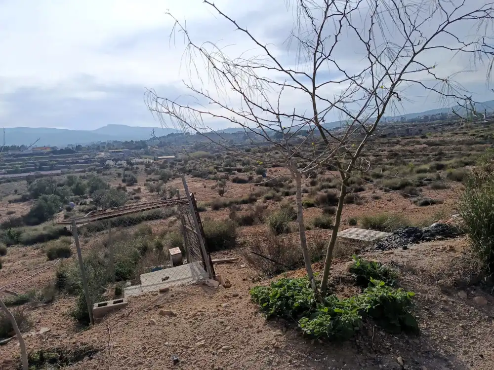 Casa o xalet en venda en Sax