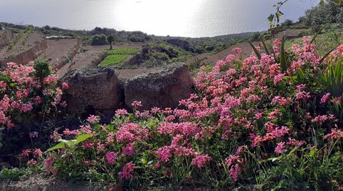 Foto 3 de Finca rústica en venta en Camino Montaña Abajo, El Escobonal - Pájara, Güímar
