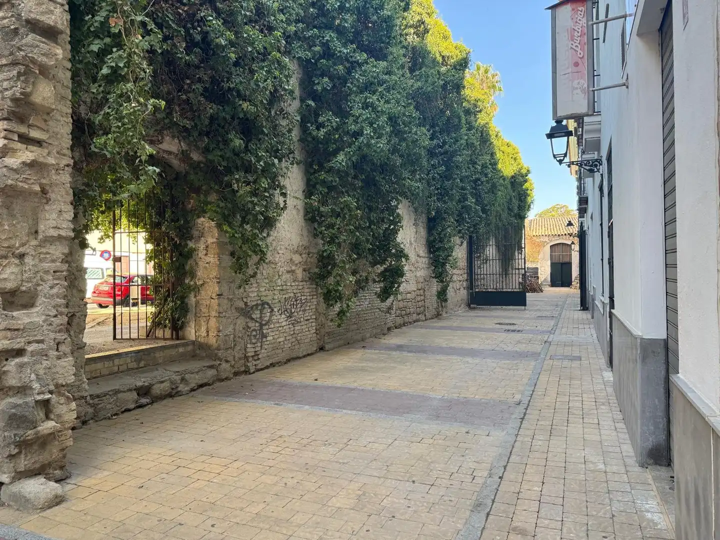 Business premises for sale in Centro