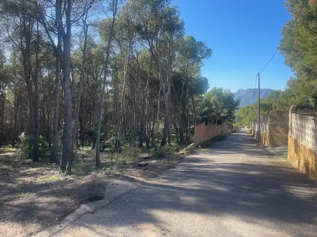 Rural land for sale in Sagunto ciudad, imagen 10