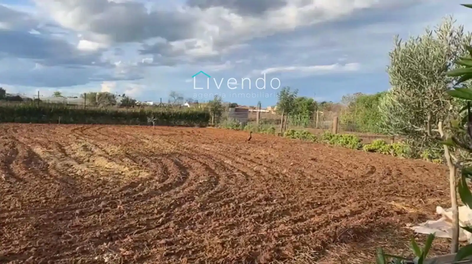 Terreny en venda en Conil de la Frontera