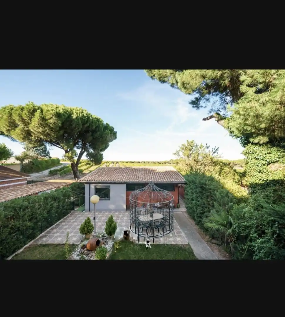 Jardín de Casa o chalet en venta en Medina del Campo con Aire acondicionado y Calefacción