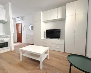 Sala d'estar de Estudi de lloguer en  Madrid Capital amb Aire condicionat i Calefacció